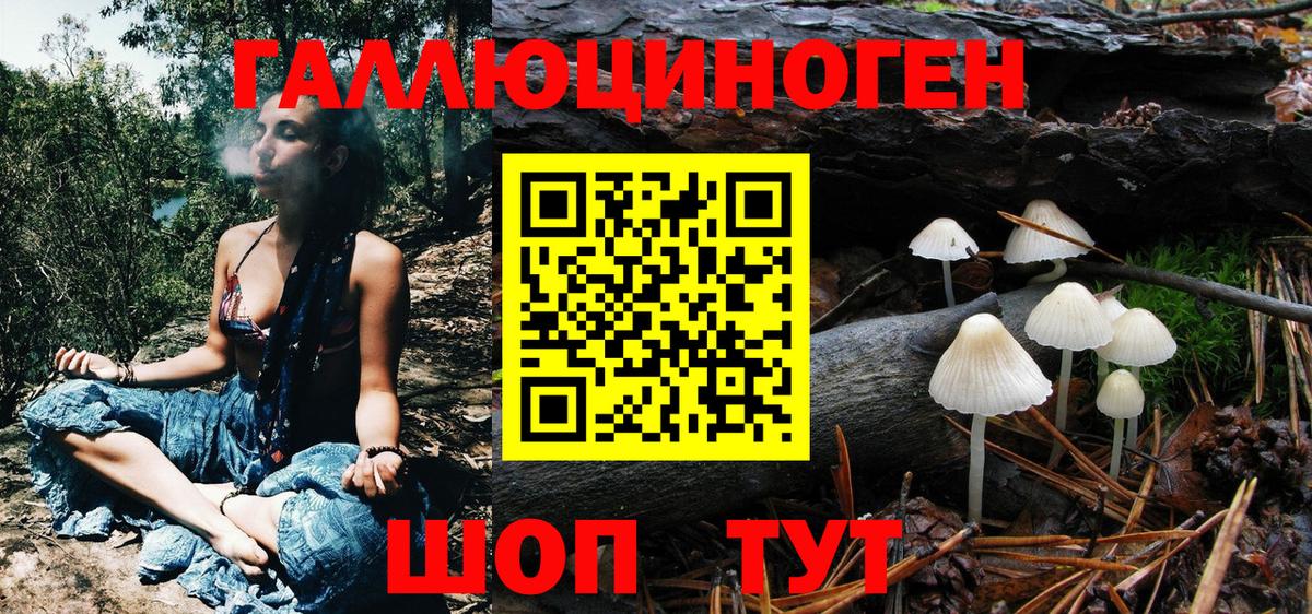 Галлюциногенные грибы Psilocybe Протвино