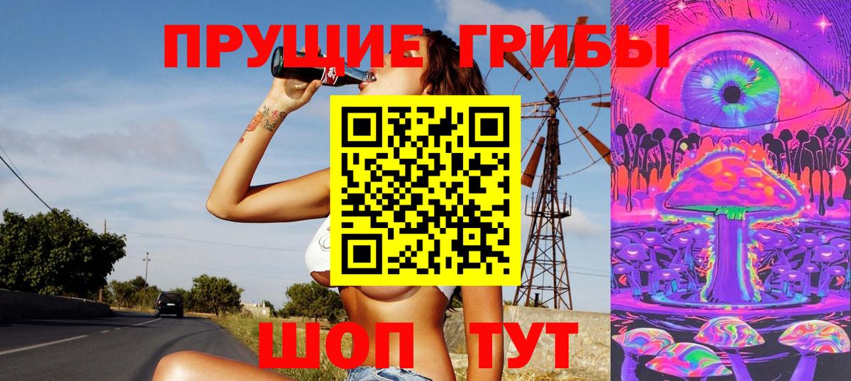 Протвино  Псилоцибиновые грибы Psilocybine cubensis  Вход с VPN  Галлюциногенные грибы прущие грибы 